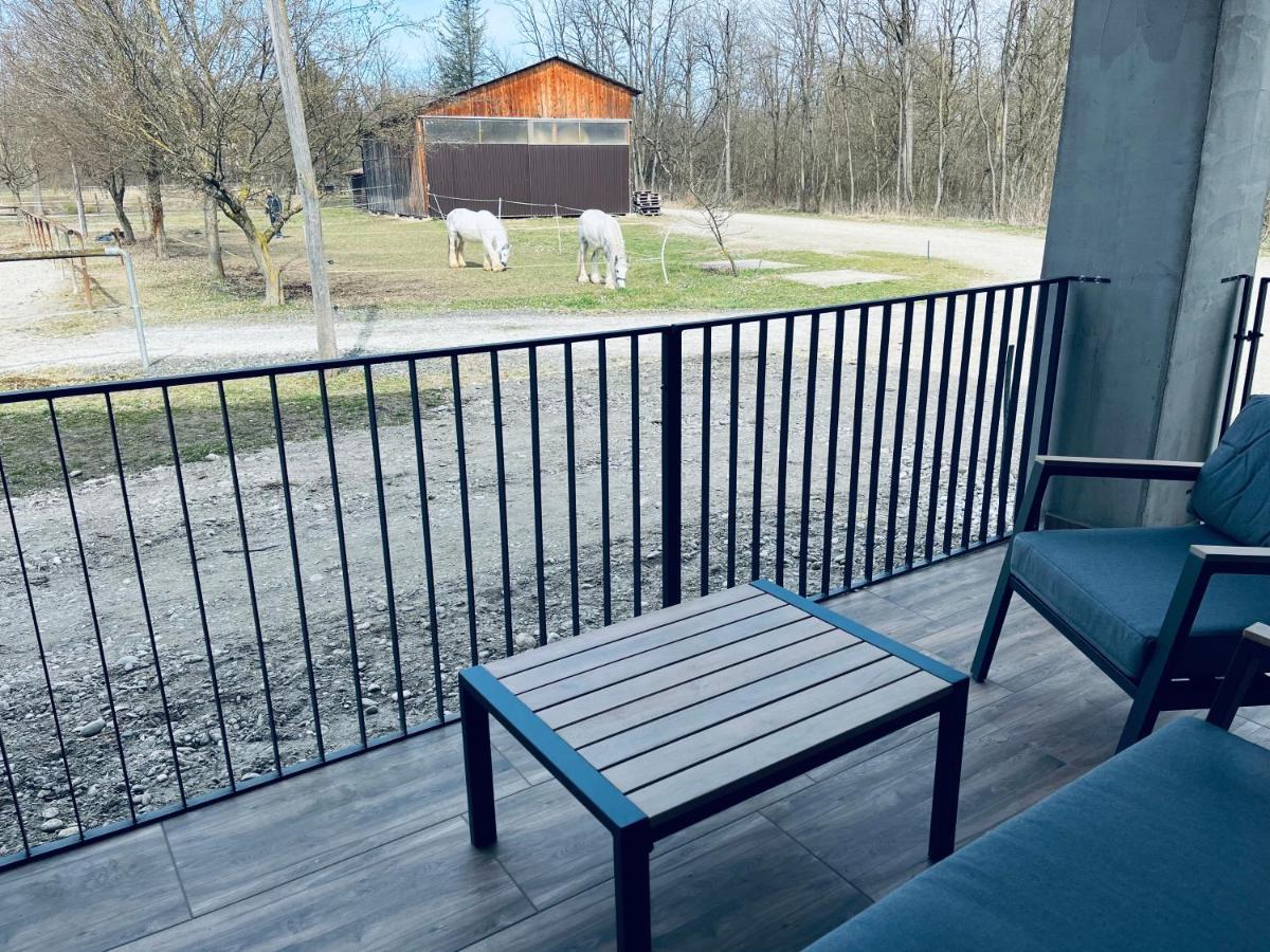 Apartment Country House Zaton Tisina Exterior foto